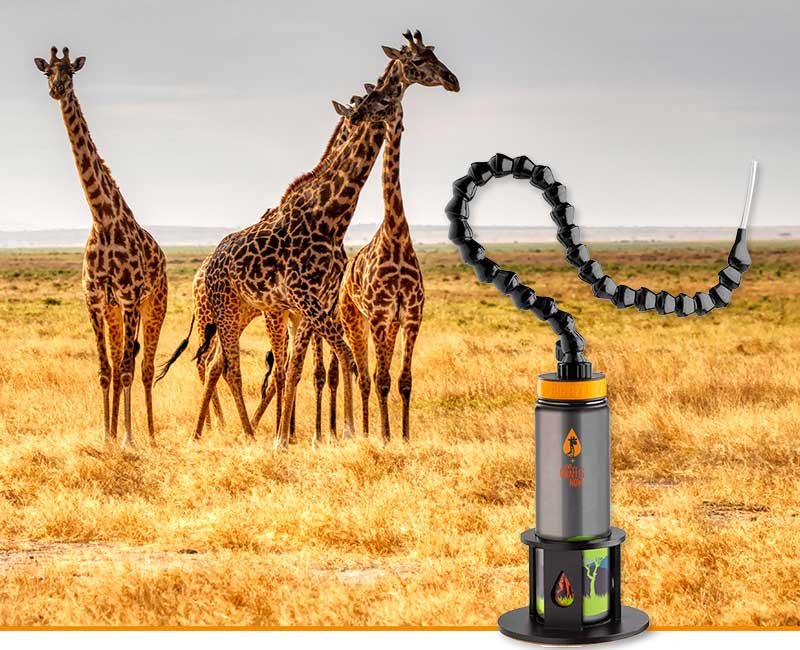 Save Giraffes Now Bottle