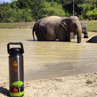 Giraffe Bottle in Cambodia, Thailand
