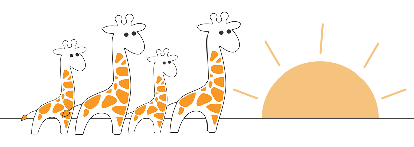 A journey of traveling giraffes