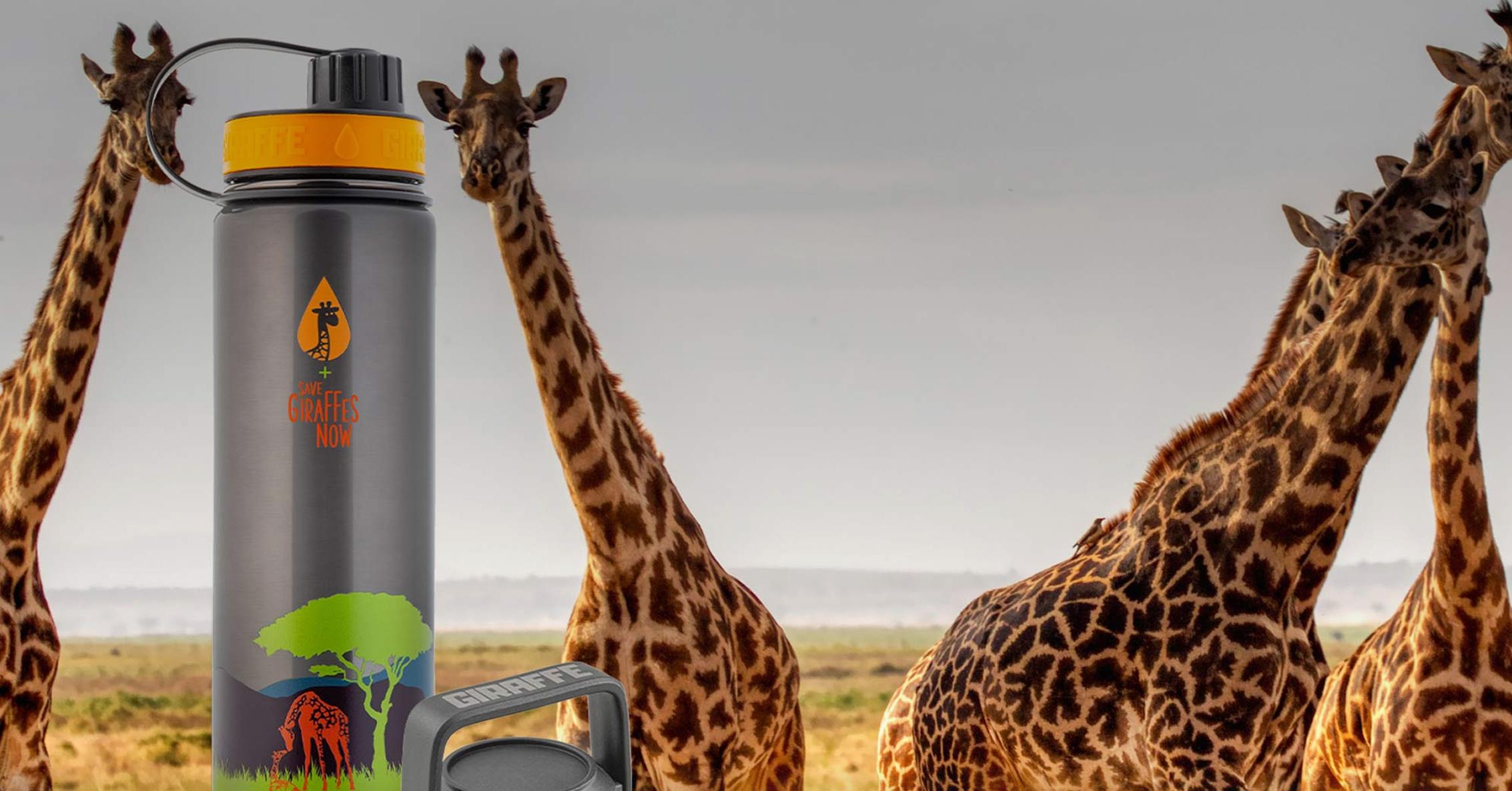 Limited Edition Giraffe Bottle next to real Giraffes in the wild